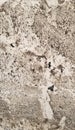 Texture Series - Stone Slab Polished Granite Royalty Free Stock Photo