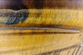 The polished surface of a Tiger eye gemstone Royalty Free Stock Photo