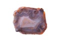 A polished, translucent slice of banded agate