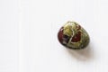 Polished tumbled stone heliotrope jasper or dragon`s blood stone on a white background