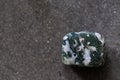 Polished tumbled stone tree agate on a black background