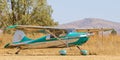 Polished vintage aircraft on grass field