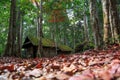 Political And Military School at Phu hin Rong Kla National Park Royalty Free Stock Photo