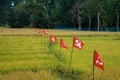 Political party flags place in paddy field for election campaign