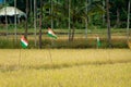 Political party flags place in paddy field for election campaign