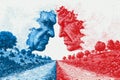 Political rivals facing each other creating a split landscape with trees and fields, representing opposing ideologies and division Royalty Free Stock Photo