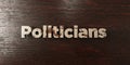 Politicians - grungy wooden headline on Maple - 3D rendered royalty free stock image