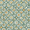 White daisy heads with colourful centres seamless pattern.