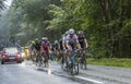 Polka Dot Jersey- The Cyclist Tony Martin