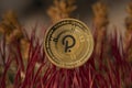 Polkadot DOT Crypto Physical Coin Placed on Red Cactus Spikes