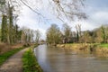 Pollard willows and grassland meadow in the sun at the bank of the river Kromme Rijn in Utrecht, The Netherlands