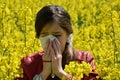 Pollen allergy Royalty Free Stock Photo