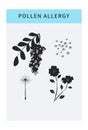 Pollen allergy vector icons set with spring flowers. Seasonal allergy. Infographic concept.