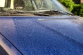 Pollen covering the hood of a car in springtime