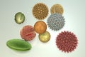 Pollen grains, illustration