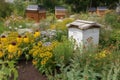 pollinator garden with beehive, surrounded by flowering plants