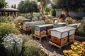 pollinator garden with beekeeping equipment, including hives and honey jars