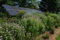 Pollinator garden, butterfly garden and solar panels on a bright summerÃ¢â¬â¢s day. Royalty Free Stock Photo