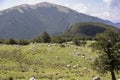 Pollino landscape