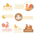 Pollo logo. Chicken illustrations for farm identity organic food meat of bird advertizing vector template Royalty Free Stock Photo