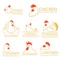 Pollo logo. Design template of identity pictures with farm birds chickens and roosters vector food logotype