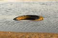 Polluted beach with a truck wheel in it. Royalty Free Stock Photo