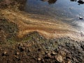 Polluted body of water. Water pollution concept image Royalty Free Stock Photo