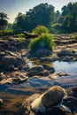 Polluted Garbage and Trash in a River Bank Royalty Free Stock Photo