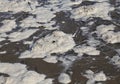 polluted foam of the ocean due to the surfactants p