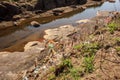 Polluted Garbage and Trash in a River Bank Royalty Free Stock Photo