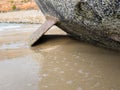 Polluted by marine organisms the bottom of the boat. Royalty Free Stock Photo