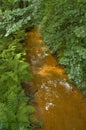 Polluted river Royalty Free Stock Photo