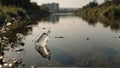 Polluted River: A Call to Action Against Plastic Pollution Royalty Free Stock Photo