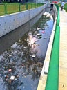 Polluted river canal in Singapore Royalty Free Stock Photo