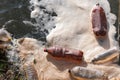 Polluted river, empty plastic bottles. Royalty Free Stock Photo