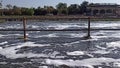 Polluted river- Godavari river flowing with scum, spume, foam