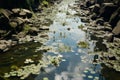 Polluted river near sewage discharge, overgrown water, environmental issue Royalty Free Stock Photo