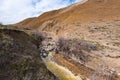 Polluted river with toxic yellow water Royalty Free Stock Photo