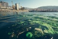 Polluted Sea Environmental Crisis