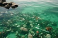 Polluted Sea Environmental Crisis