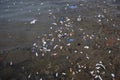 Polluted sea water with waste materials