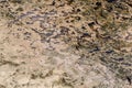 Polluted waste water in surface pond, selective focus