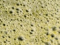 Polluted water froth bubbles texture background