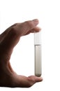 Polluted Water Sample in Test