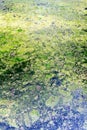 Polluted waters with green and yellow dirty scum Royalty Free Stock Photo