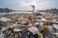 Polluted Waters: A Seagull\'s Plight Royalty Free Stock Photo