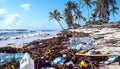 Pollution Crisis: Beach Devastation - Plastic waste blankets shore, underscoring need for action. Bottles, debris mar tropical Royalty Free Stock Photo