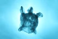 Pollution of the environment of the planet plastic. Blue plastic bag in the shape of turtle in the world ocean Royalty Free Stock Photo