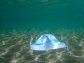 Pollution of the ocean with corona virus residues. A medical mask floats on the surface of the sea from the remnants of Covid 19. Royalty Free Stock Photo