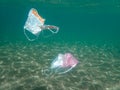 Pollution of the ocean with waste, plastic garbage and the threat to the environment, Plastic water bottles pollution in ocean En Royalty Free Stock Photo